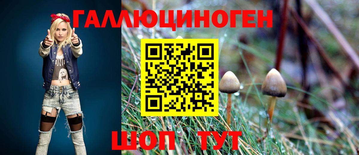 Галлюциногенные грибы мухоморы  Вход с VPN  Псилоцибиновые грибы мицелий  Муравленко 