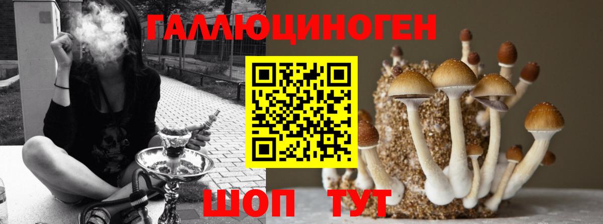 Галлюциногенные грибы MAGIC MUSHROOMS Муравленко